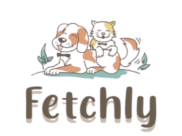 Fetchly